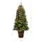 5ft. Pre-Lit Frosted Colorado Aspen Artificial Christmas Tree in Decorative Planter, White LED Lights